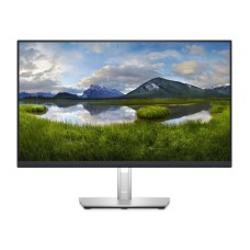 DELL OEM 23.8 inch P2422H Professional IPS monitor